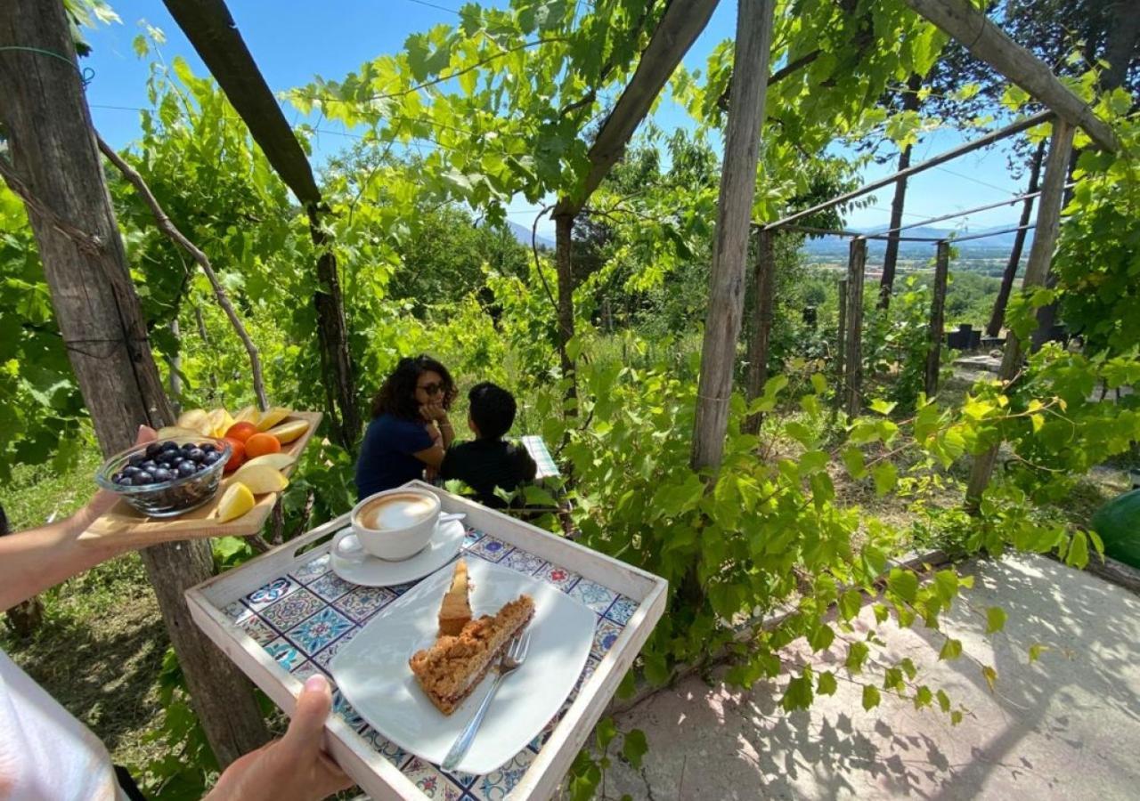 "Il Casaletto" Agriturismo Moderno, Vista Panoramica E Cibo Spettacolare- Scurcola Marsicana Екстер'єр фото