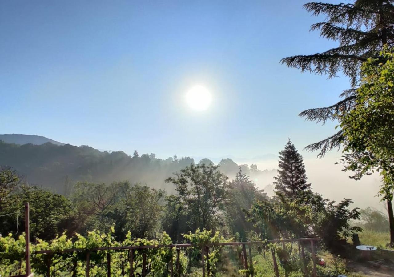 "Il Casaletto" Agriturismo Moderno, Vista Panoramica E Cibo Spettacolare- Scurcola Marsicana Екстер'єр фото