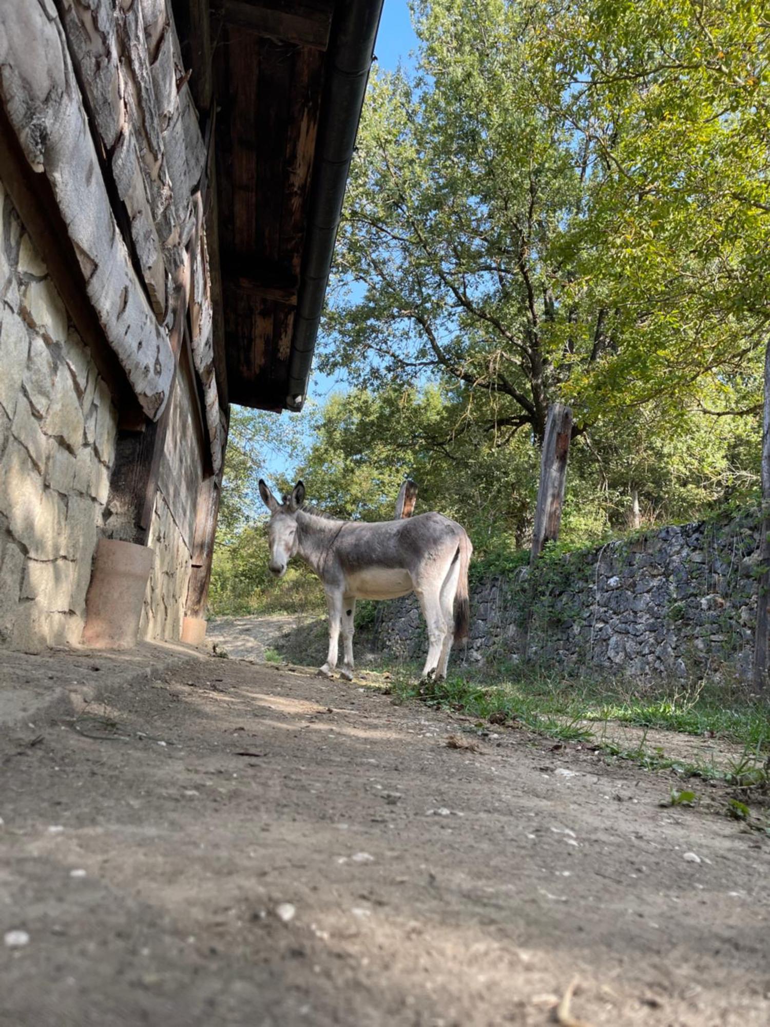 "Il Casaletto" Agriturismo Moderno, Vista Panoramica E Cibo Spettacolare- Scurcola Marsicana Екстер'єр фото